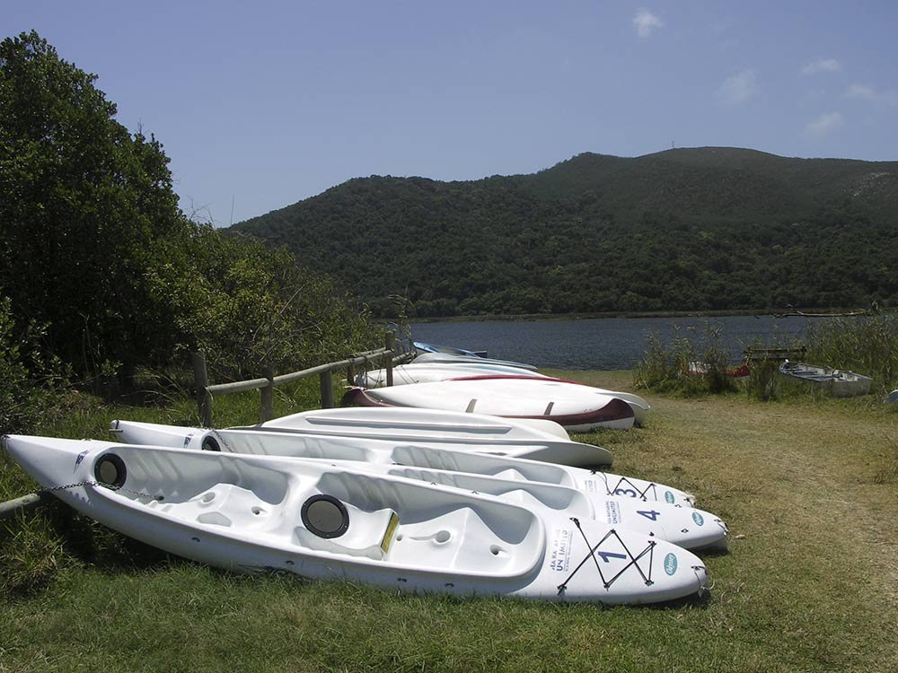 kayaks